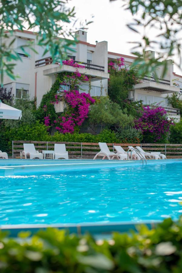 The Olive Terrace Apartamento Palase