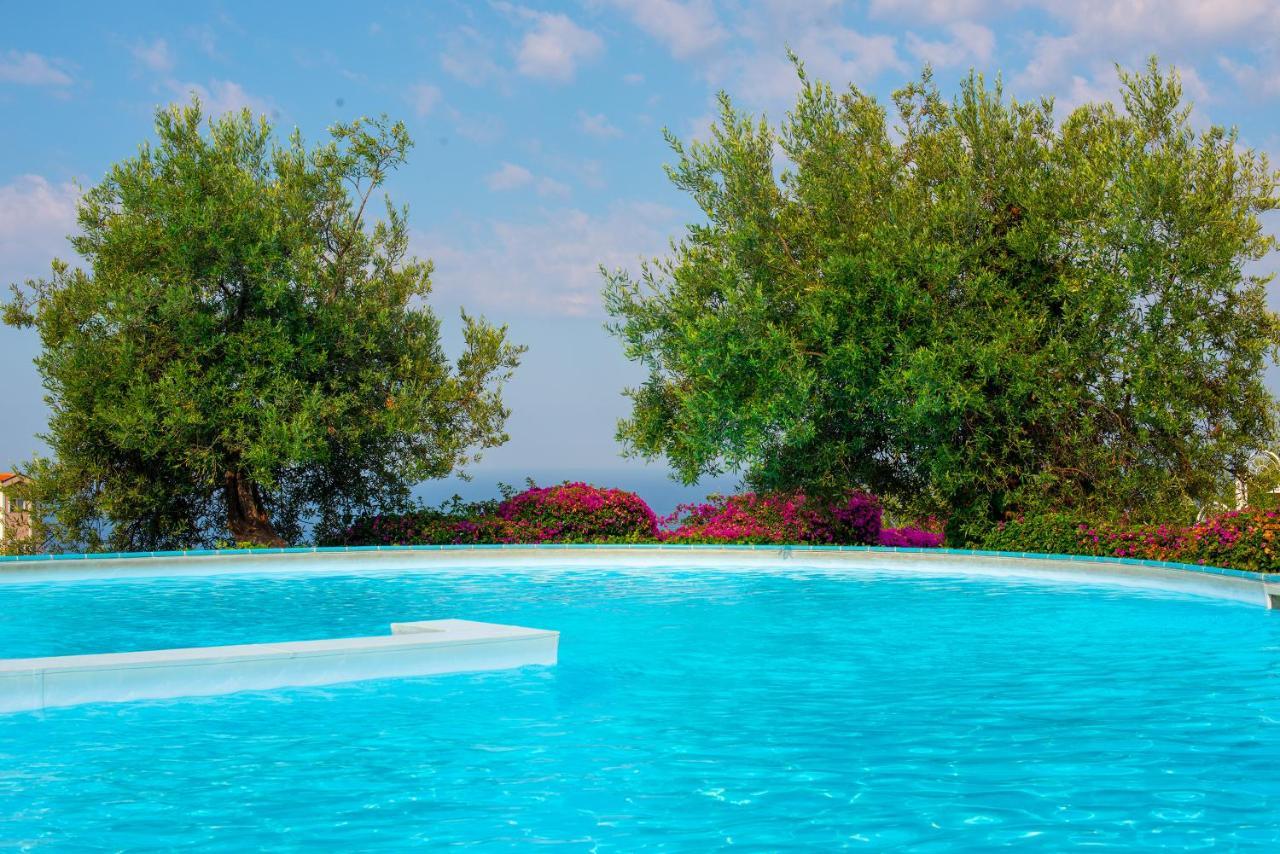 Apartamento The Olive Terrace