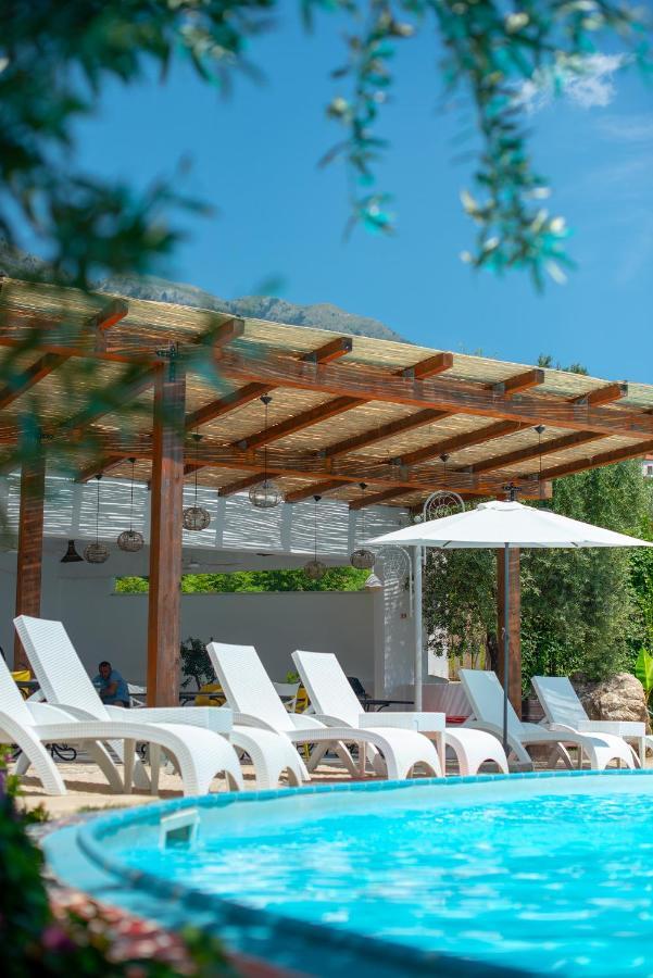 The Olive Terrace Apartamento *