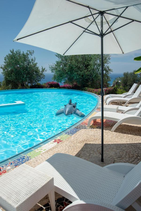 The Olive Terrace Apartamento Palase