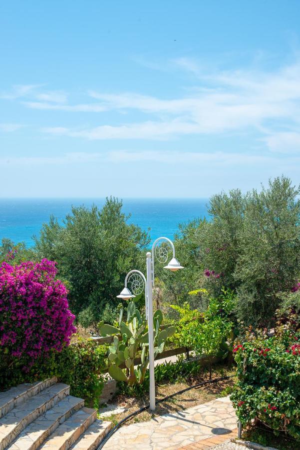 The Olive Terrace