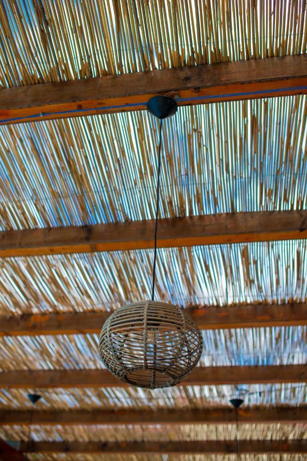 The Olive Terrace