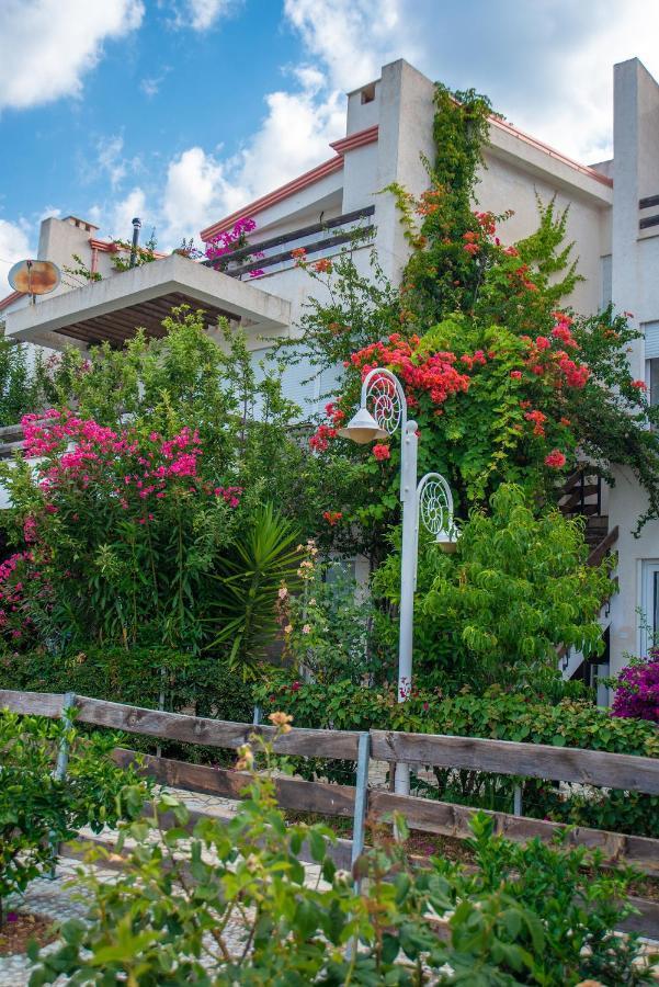 Apartamento The Olive Terrace Palase