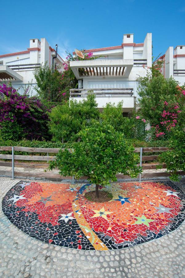 Apartamento The Olive Terrace