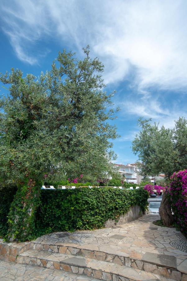 Apartamento The Olive Terrace *