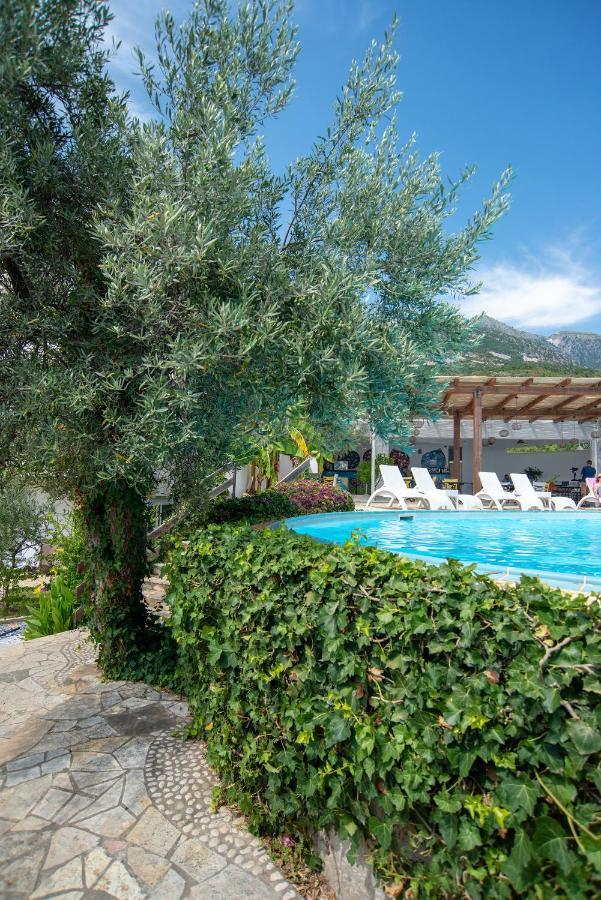 The Olive Terrace Apartamento *