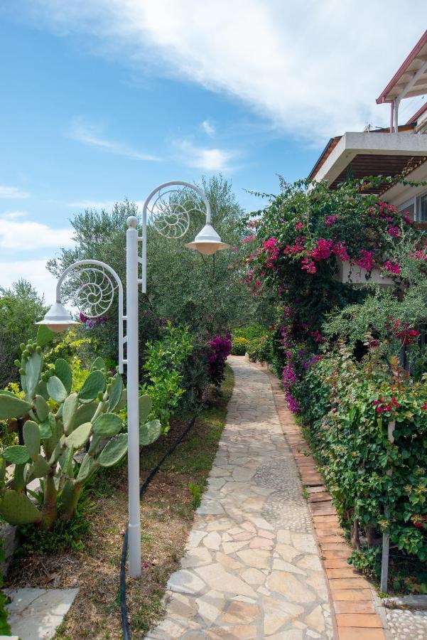 Apartamento The Olive Terrace