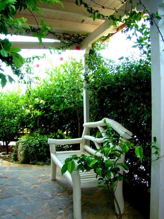 Apartamento The Olive Terrace