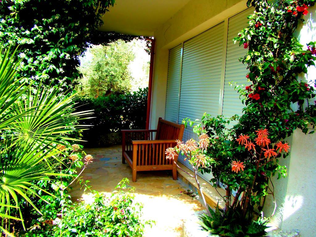 The Olive Terrace Apartamento *